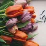 purple and orange tulips on white surface